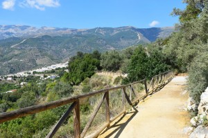 Canillas-de-Albaida  